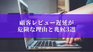 レビュー